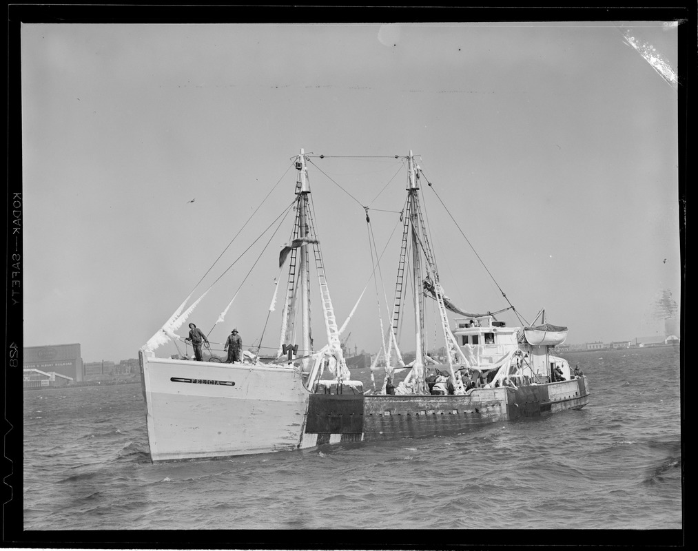 Trawler Felicia from Gloucester coming into fish pier