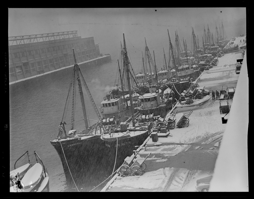 Trawlers at fish pier