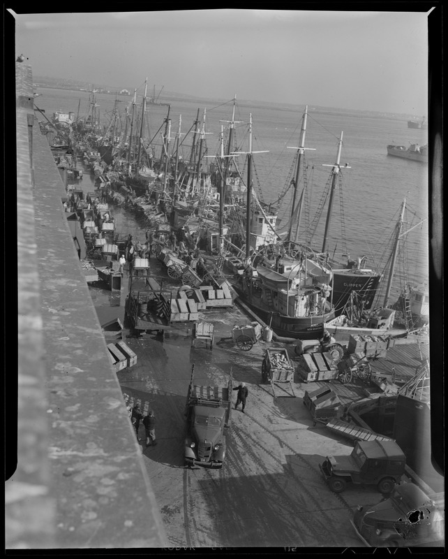 Trawlers at fish pier