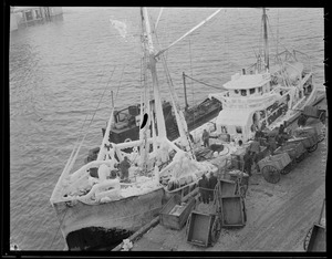 Ice covered trawler, fish pier