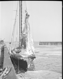 Ice covered trawlers - "Breaker"