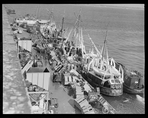 Trawler "Breaker" at fish pier, covered with ice