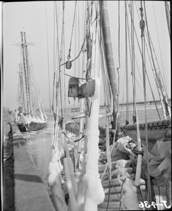 Fishing boats covered with ice in Boston Harbor