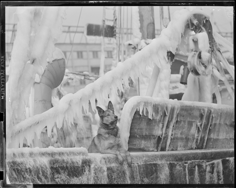 Ice covered boat