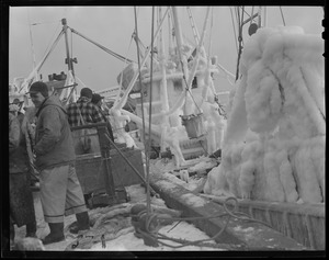 Unloading fish from ice-covered trawler "Bonnie Lou" at fish pier