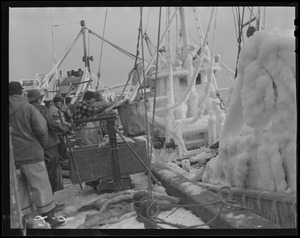 Unloading fish from ice-covered trawler "Bonnie Lou" at fish pier