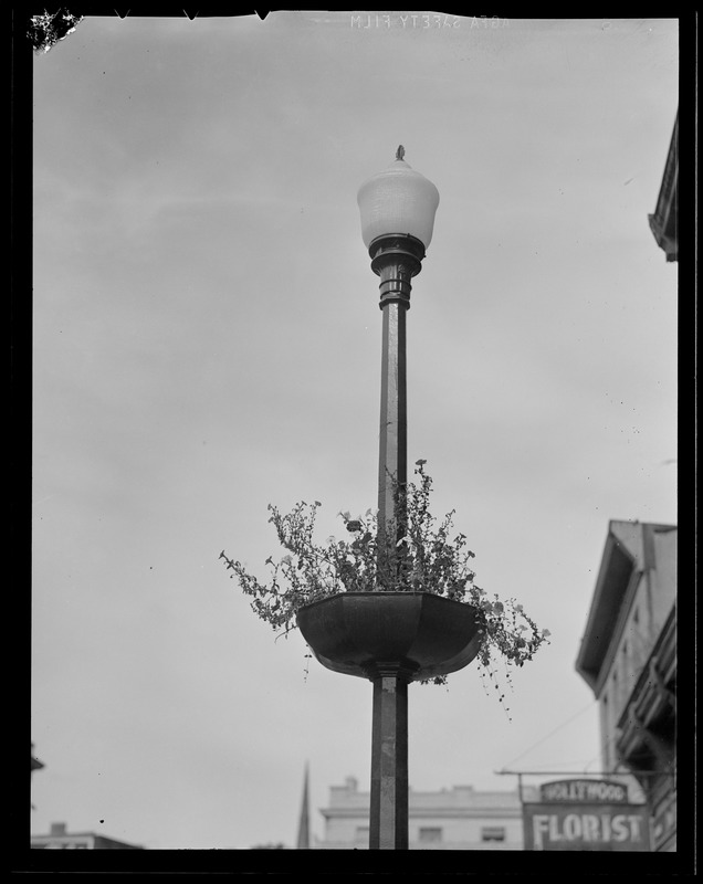 Lamp post near Hollywood Florist, Cape Cod