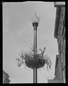 Lamp post near Hollywood Florist, Cape Cod
