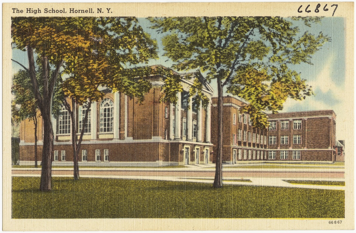 The high school, Hornell, N. Y.