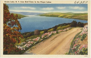 Keuka Lake, N. Y. from Bluff Point, in the Finger Lakes.