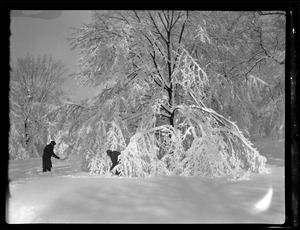 Shoveling snow, Franklin Park