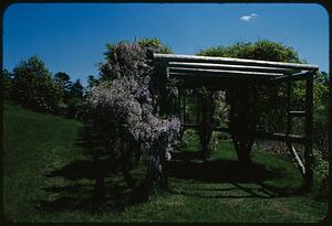 Pergola in Arnold Arboretum, Boston