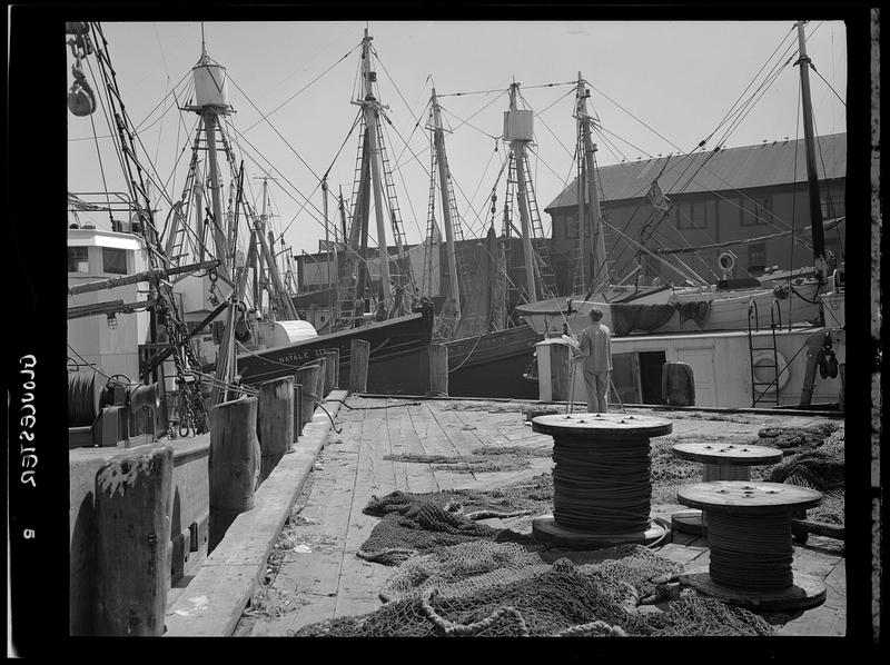 Waterfront scene, Gloucester