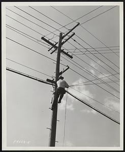 Linemen.