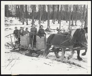 Sweet Side of College - Girls of the Green Mountain Junior College, Poultney, Vt., went after the maple syrup in trees on their own campus. Drivers are Mary Ann Snelling, left, of Lincoln and Dorothy Chapin, Ridgefield, Conn. Rear, left to right, Mary Lee Glover, Great Neck, N. Y.; Marie Baisch, Patterson, N. J., Sharon Ramming, Medina, N. Y. and Nancy Wing, Berlin, N. Y.