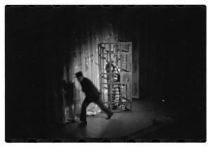 Follies