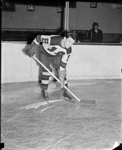Eddie Finnigan, Bruins, 1935-1936