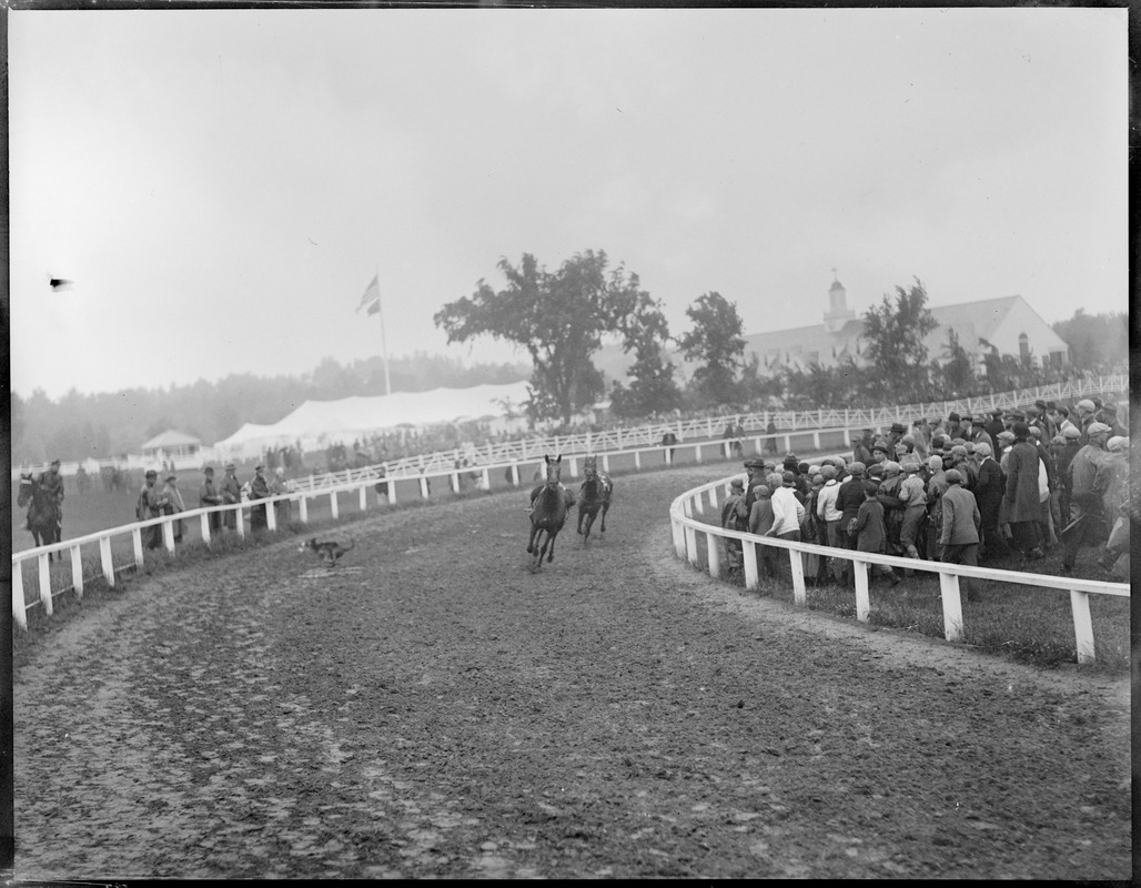 The horses with no riders after the spill at Raceland, Framingham