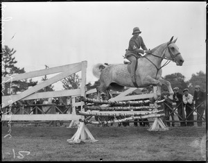 Virginia Tolman on Homestead at Weymouth fair