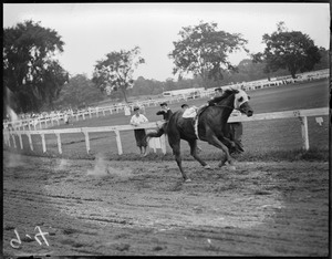 Runaway Horse at Clyde Park, Brookline, MA