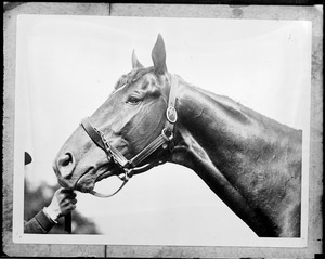 Man O'War