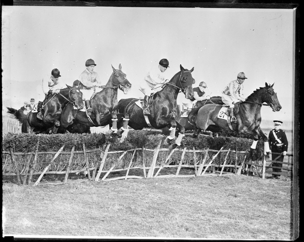 Steeplechase at the Harville Hudle race, Wye, Kent, England