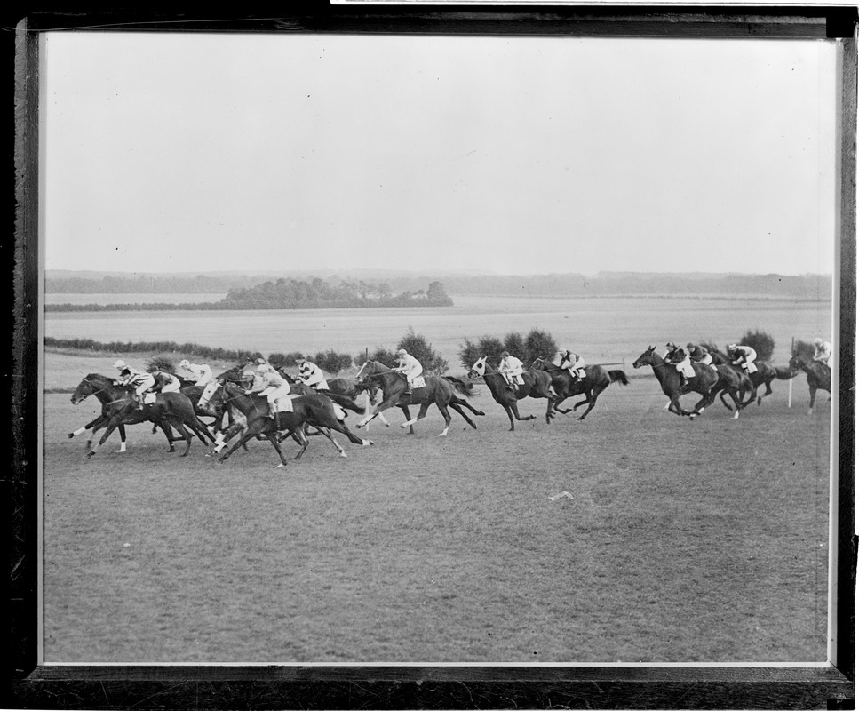 Horse racing at the Cesarewitch, West Wicklow, England. C. Richards winning.
