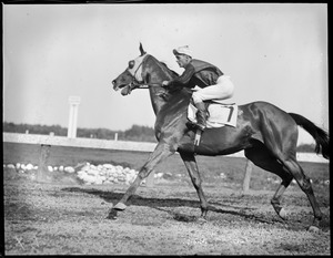 Rockingham Races - Salem, N.H.