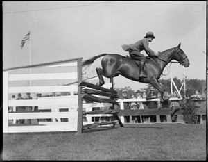 Horse jumping