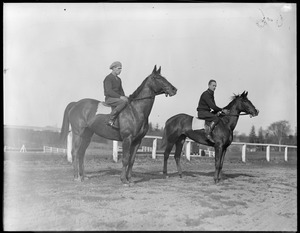 L-R: Old Joe Chrate, Miss Stalwart, Raceland
