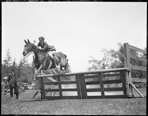 Horse jumping