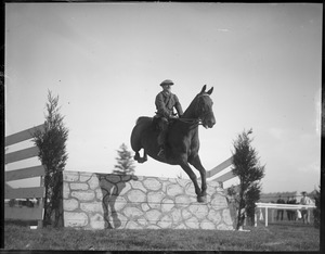 Horse jumping