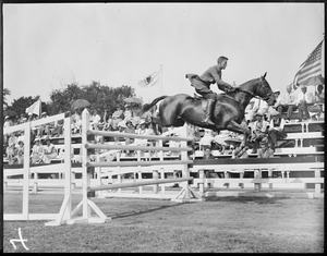 Horse jumping