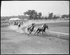 Raceland (Horse) races