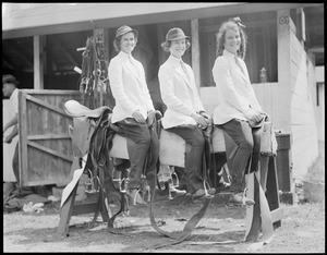 Three women on a sawhorse