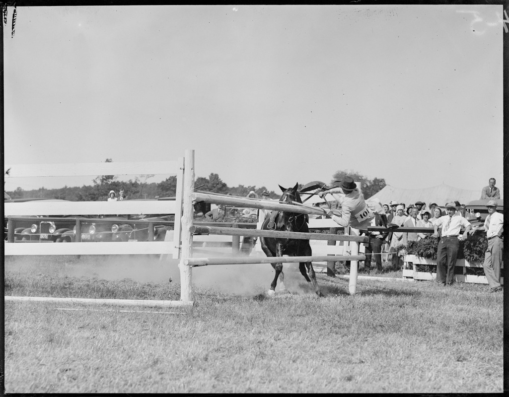 Hugh Bancroft Jr. thrown by his jumper Pop-Over - Millwood hunt