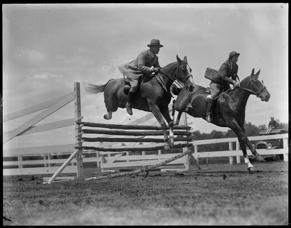 Horse jumps