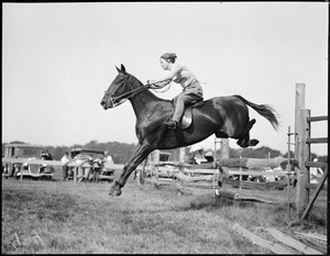 Horse jumping - Myopia