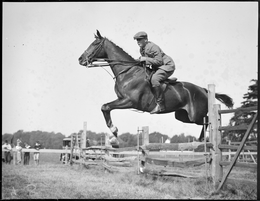 Horse jumping - Myopia