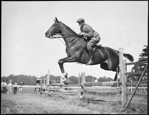 Horse jumping - Myopia