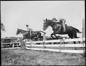 Horse jumps