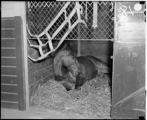 Narragansett stables