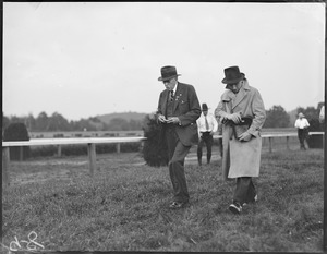 Horseracing?