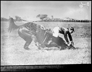 Horse race accident