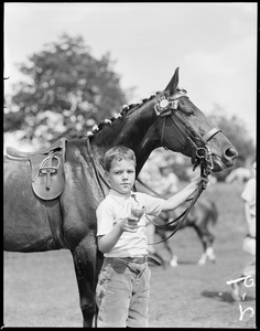Young equestrian