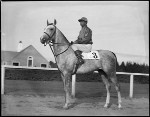 Jockey