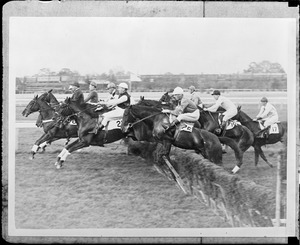 Jump at the Sandown Pinbright Hurdle Race won by Lady Capulet, England