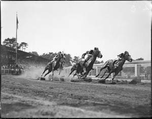 Horse racing at the country club