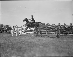 Horse jumping at Readville