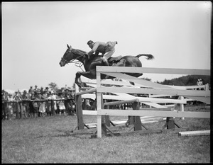 Danny Shea on Crowell's Fairfax, winning first in Olympic course at Millwood Horse Show